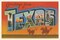 Greetings from Texas v2 Poster Print by Wild Apple Portfolio - Item # VARPDX45243